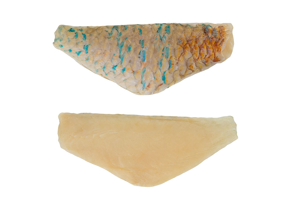 Papageifisch Filets