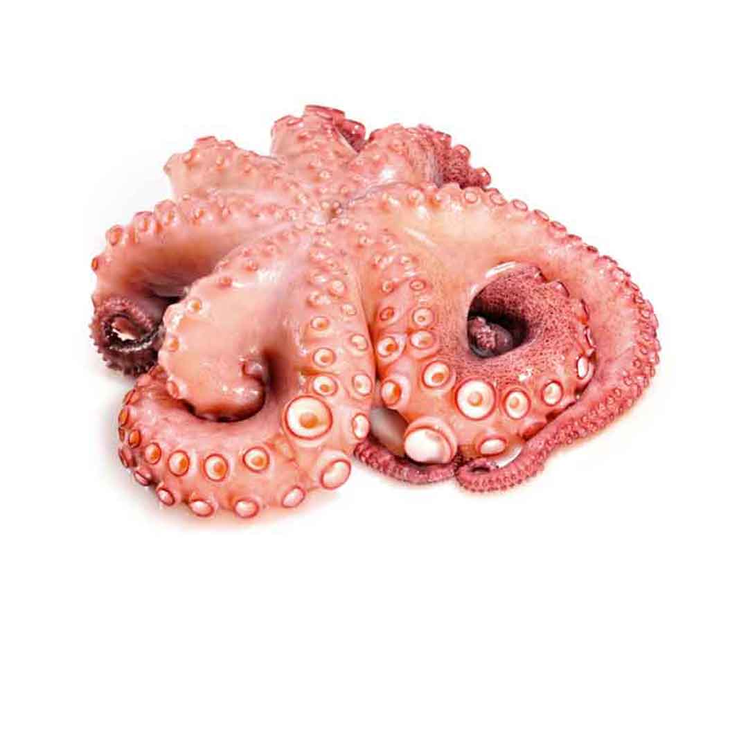 Oktopus Flower
