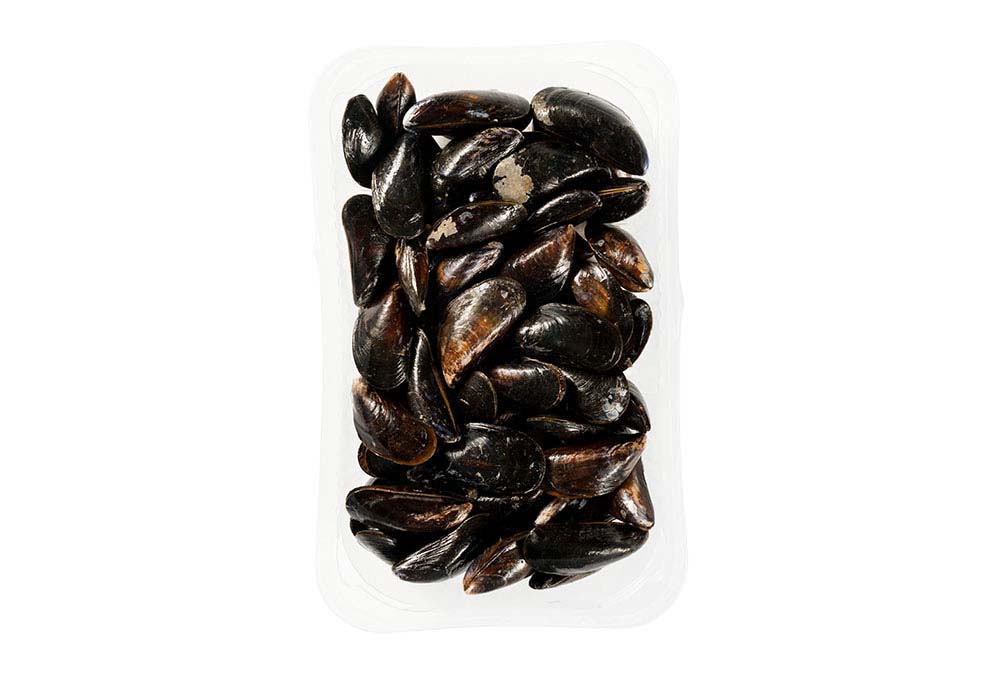 Holländische Muscheln