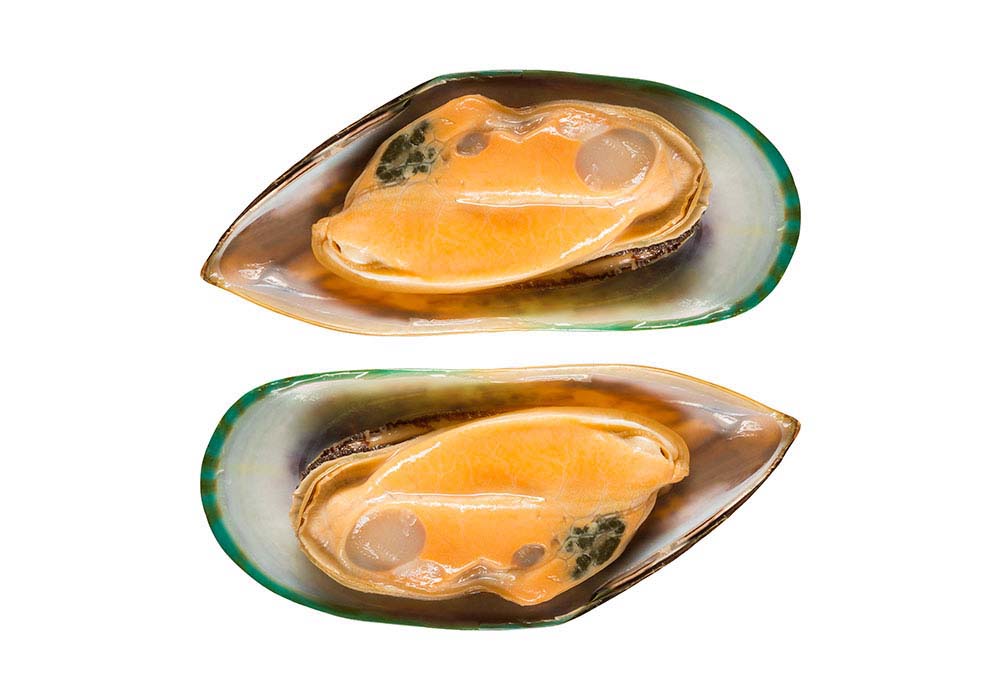 Grünschalen-Muscheln