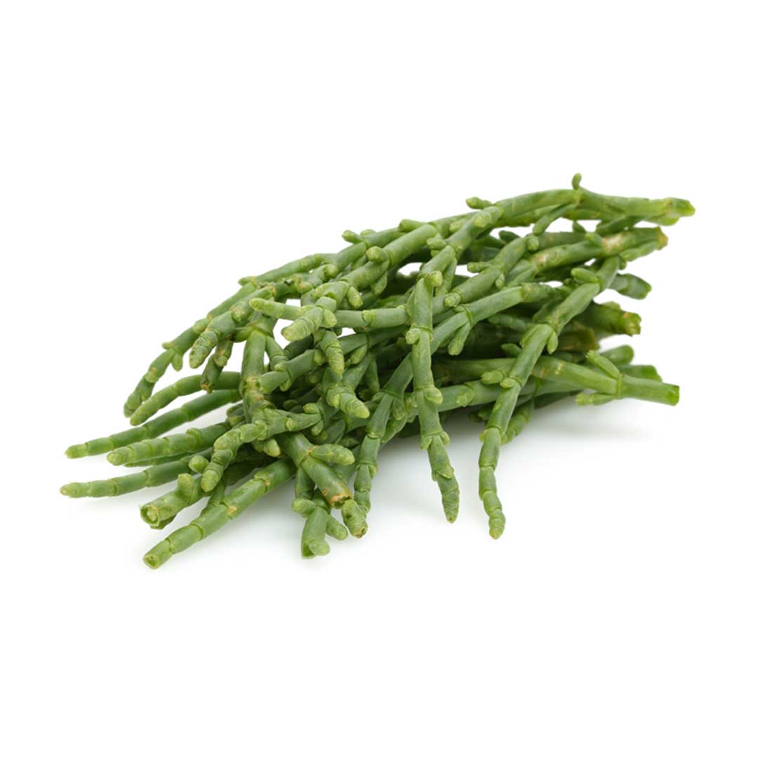 Frische grüne Salicornes, europäischer Queller