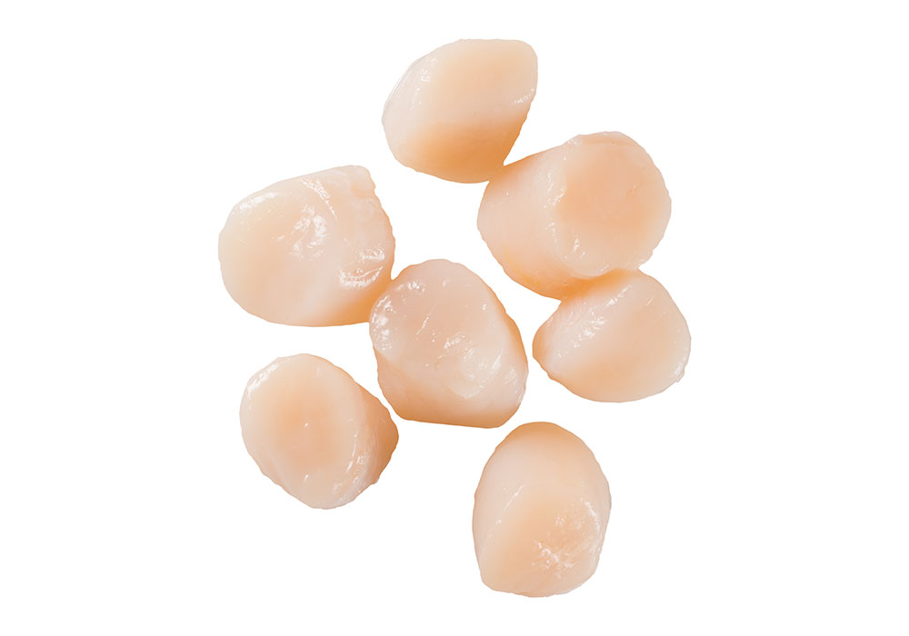 Scallops 120/150