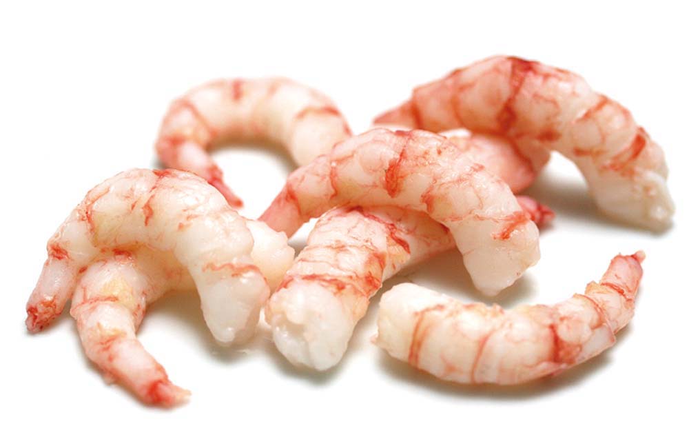 Chilenische Camarones 200/300 - 2,5kg
