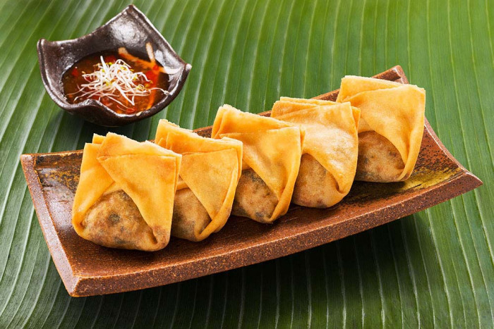 Chicken Wantan