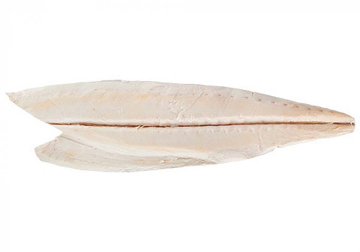 Escolar filets skin-off 2-5 kg