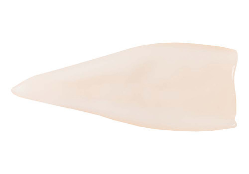 Tintenfisch-Tuben U5 Tintenfisch-Tuben U5