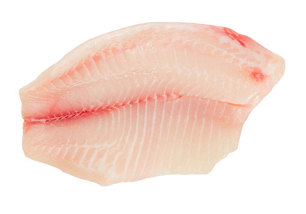 Tilapia Filet Fischfilets Tiefkühlwaren Kagerer & Co. GmbH