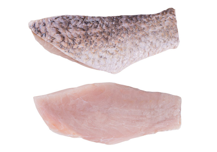 Barramundi Filet