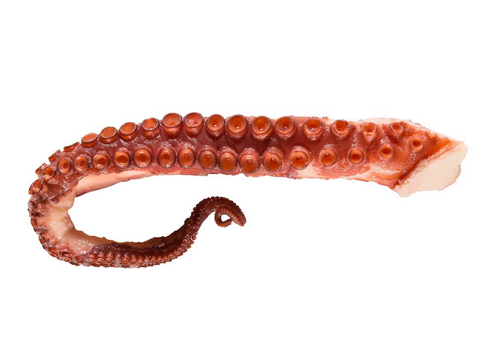 Oktopus Tentakel 115180 g