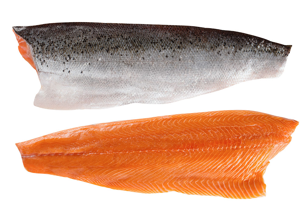 Salmon fillet Trim D 1.41.8 kg