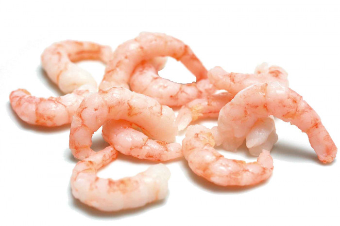 Greenland shrimps