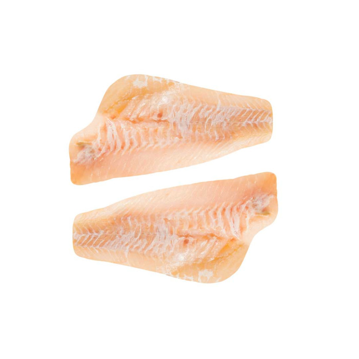 Redfish fillet