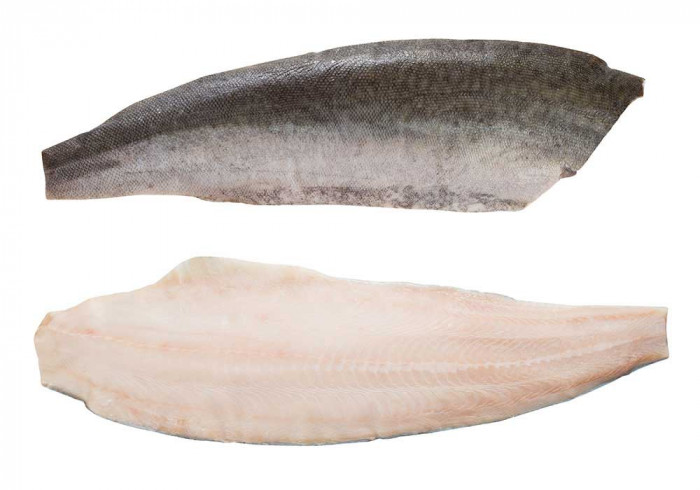Black Cod Kohlenfisch Filet