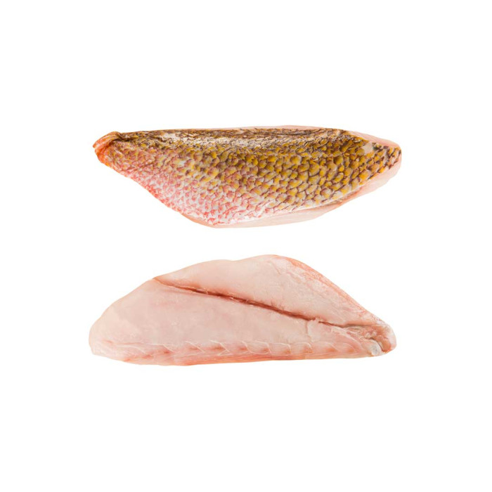 Red Snapper fillet