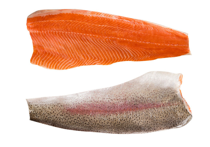 Trout fillet
