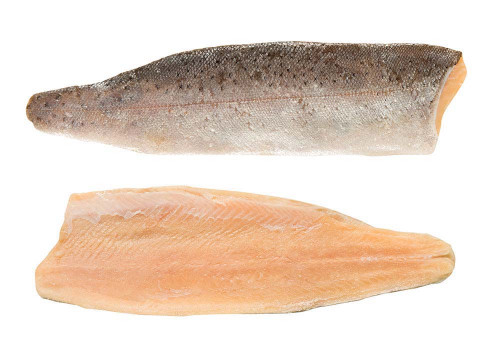 Forellenfilets Forellenfilets