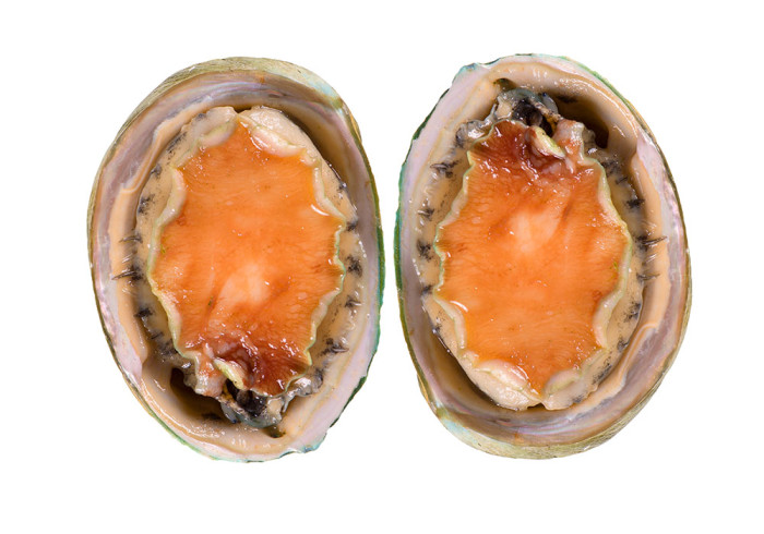 Awabi Abalone