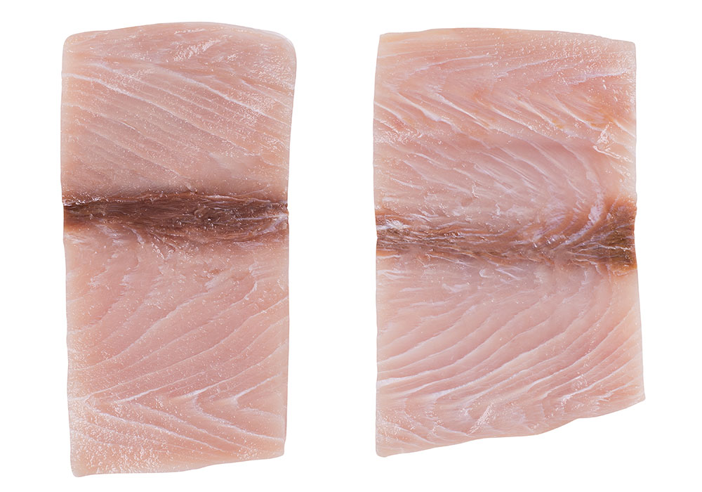 Mahi Mahi Filet Fischfilets Tiefkühlwaren Kagerer & Co. GmbH