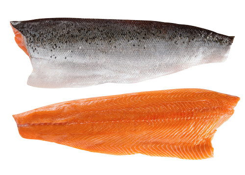 Salmon fillet Trim D  Salmon fillet Trim D
