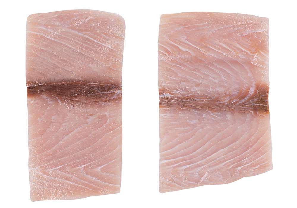 Mahi Mahi fillet Fish Fillets Frozen Products Kagerer & Co. GmbH