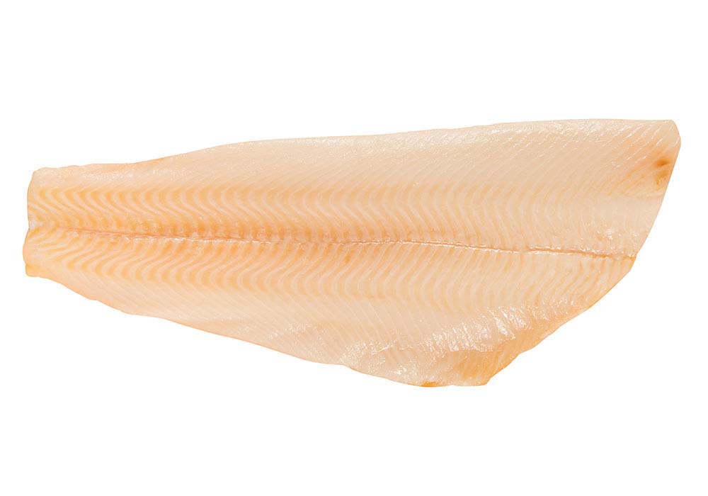 Greenland halibut fillets Fish Fillets Frozen Products Kagerer