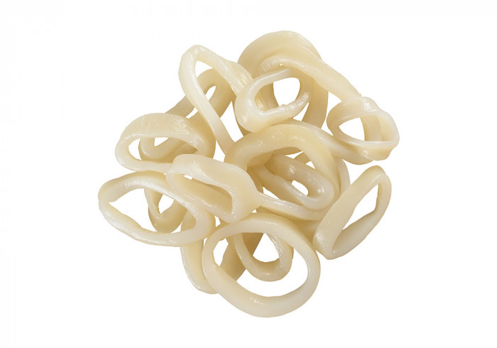 Squid rings nature